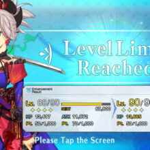 Awesome Thanksgiving Break. My progress on Lostbelt 3 and getting Musashi leveled, and planned updates to the site.