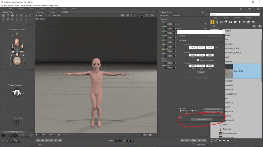 Figure before Zero Rotations has been applied